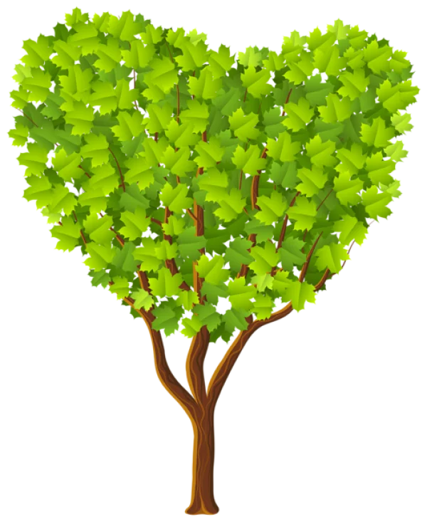Heart Shaped Tree PNG Transparent Background
