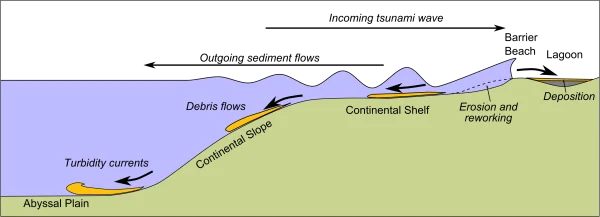 Ocean Floor Geological Diagram with Turbidity Currents