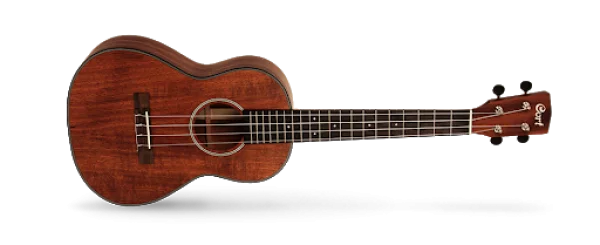 Dark Wood Ukulele PNG Transparent Background