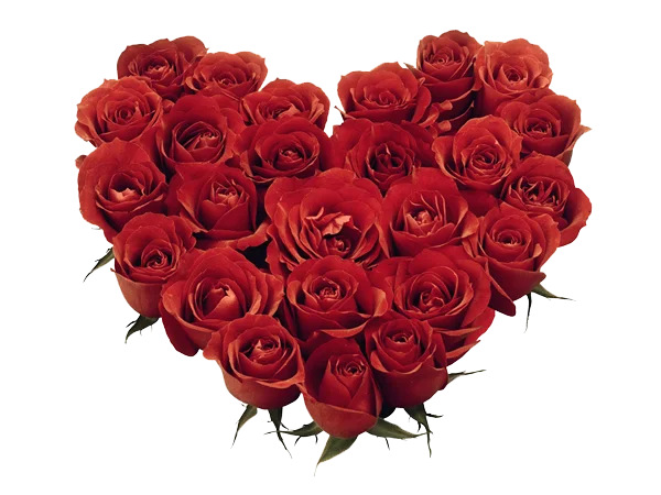 Red Roses Heart Shape PNG Transparent Background