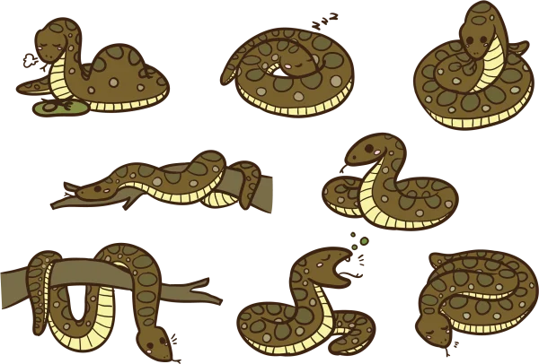 Cute Cartoon Snake Collection PNG