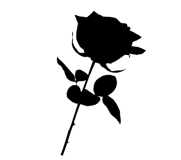 Solid Black Square Transparent PNG