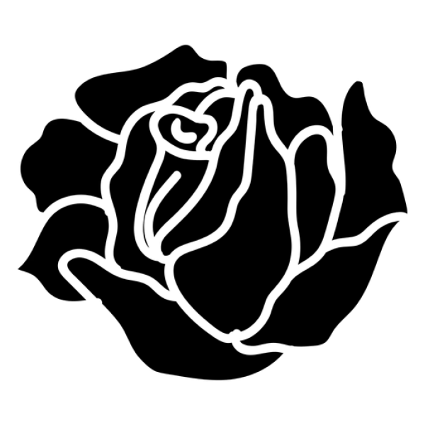 Blank Transparent PNG Canvas