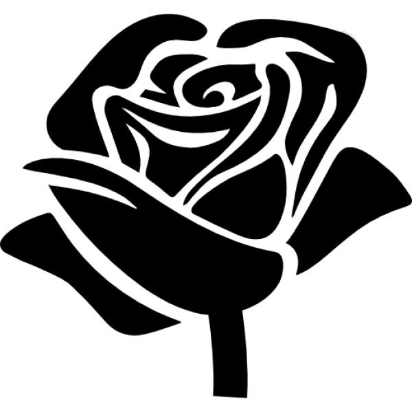 Blank Transparent PNG