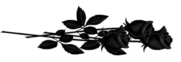 Elegant Black Roses Arrangement PNG