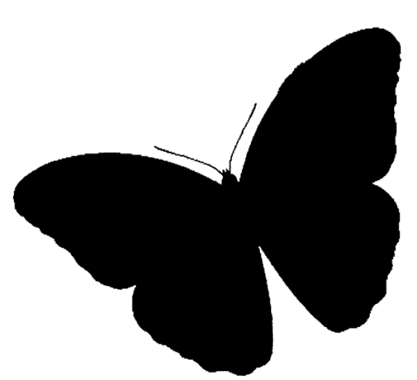 Pure Black Background PNG Transparent