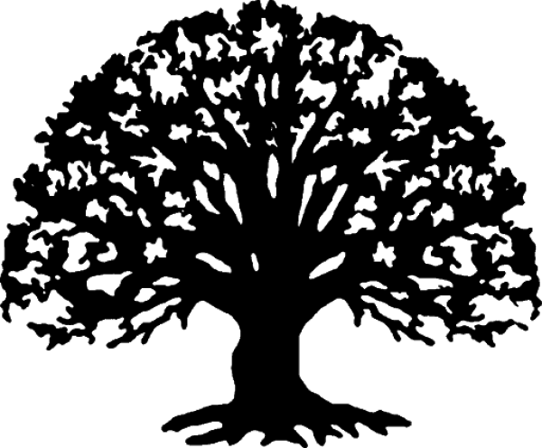 Minimal Dark Background with Tiny White Dots PNG