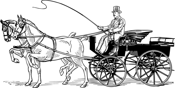 Transparent Blank PNG