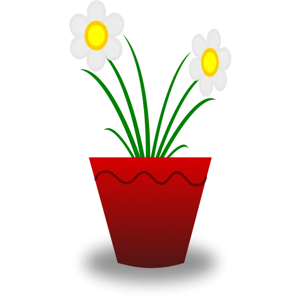 Potted White Flowers Transparent PNG