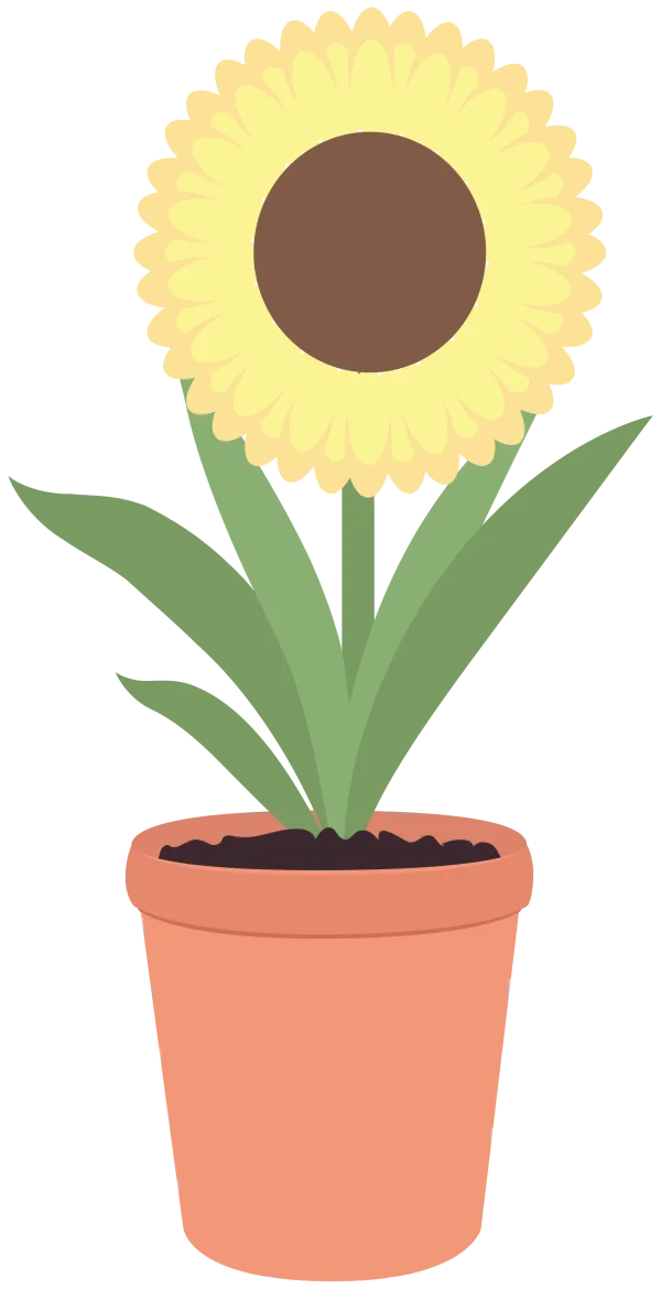 Cartoon Potted Sunflower PNG Transparent Background