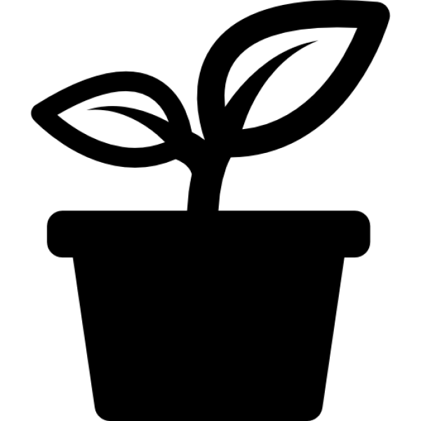 Transparent PNG Blank Canvas