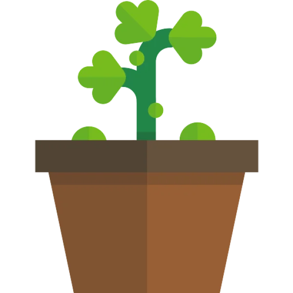 Potted Plant Icon PNG Transparent Background