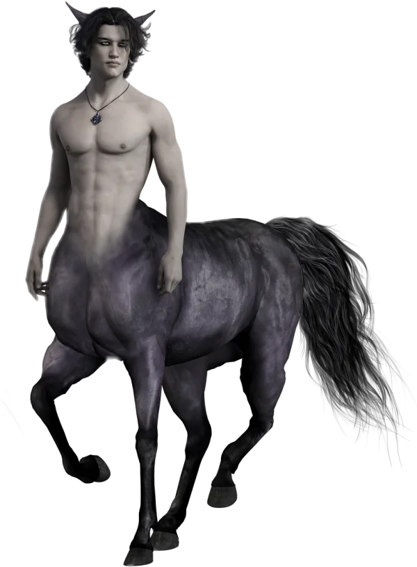 Fantasy Male Centaur PNG Transparent Background