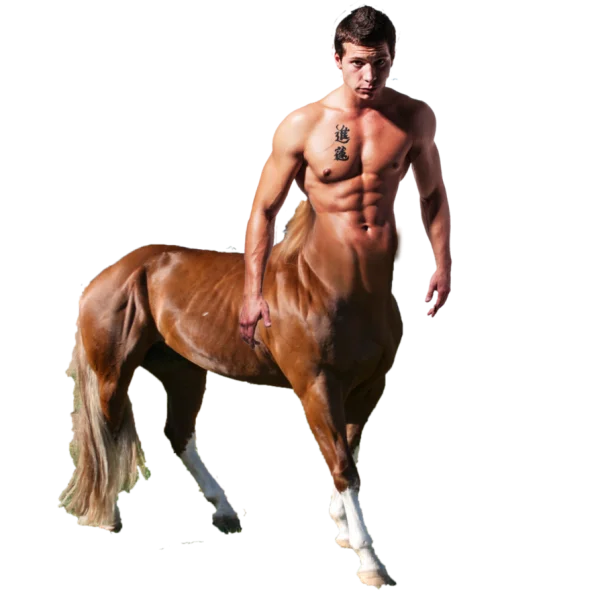 Muscular Centaur PNG Transparent Background