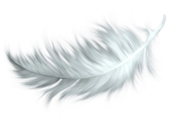 Realistic White Feather PNG