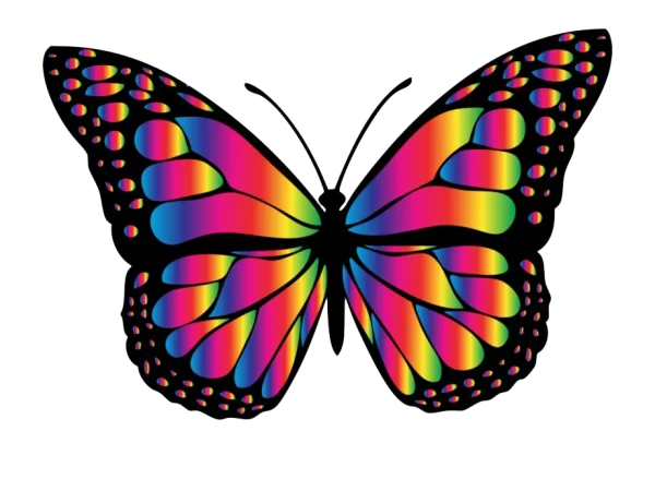 Vibrant Rainbow Butterfly PNG