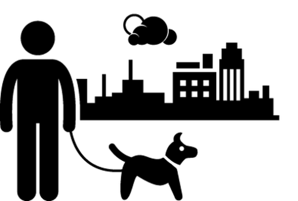 Solid Black Square PNG