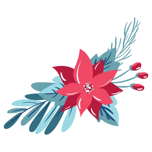Festive Poinsettia Flower Arrangement with Berries PNG