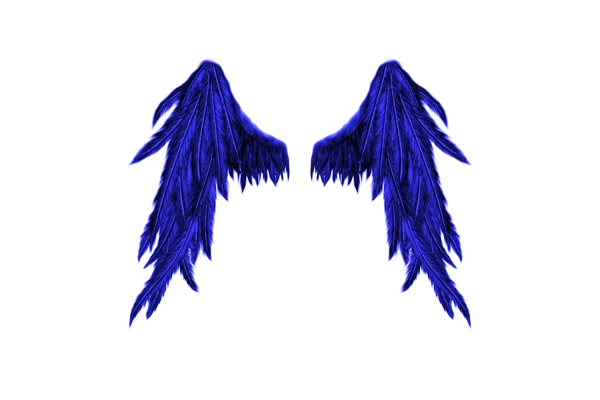 Vibrant Blue Feathered Wings PNG