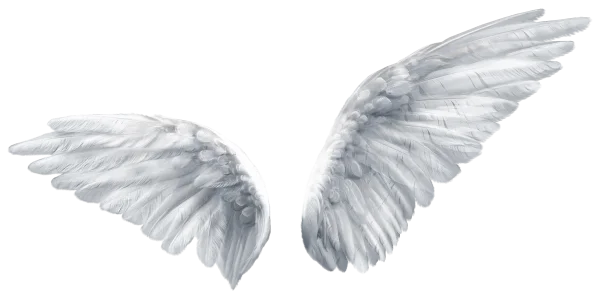Detailed Pair of White Angel Wings PNG