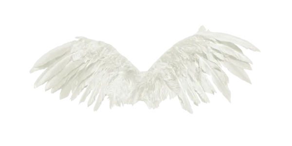 Pair of Realistic White Feathered Wings PNG
