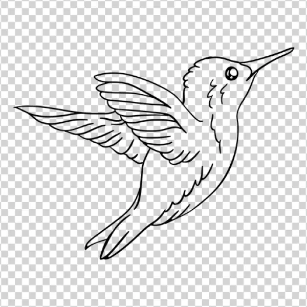 Empty Transparent PNG