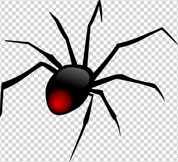 Black Widow Spider Illustration PNG