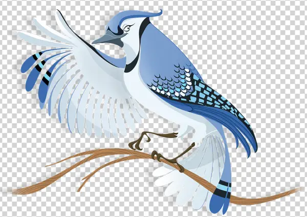 Stylized Blue Jay Bird on Branch PNG