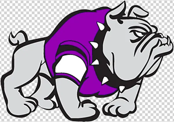 Bulldog Mascot Logo with Purple Vest PNG