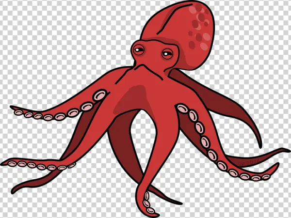 Red Octopus Illustration PNG Transparent Background