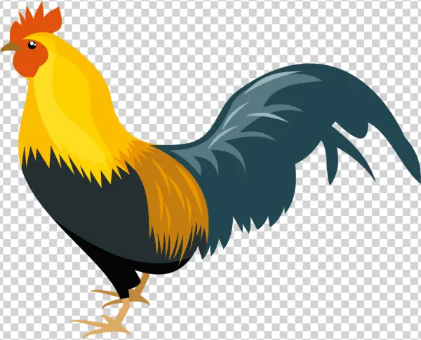 Cartoon Rooster PNG Transparent Background