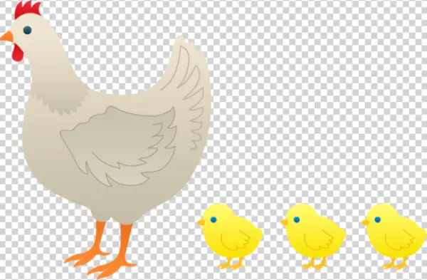 Mother Hen and Three Chicks PNG Transparent
