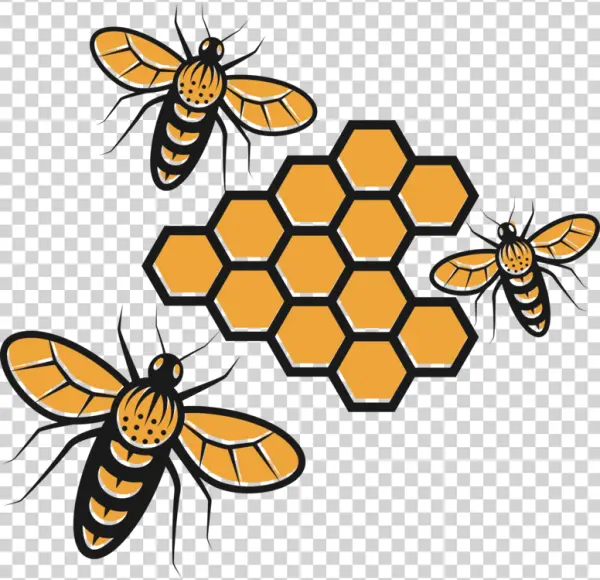 Bees and Honeycomb PNG Transparent Background