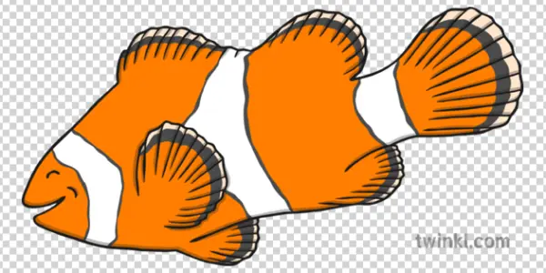 Cartoon Clownfish PNG Transparent Background