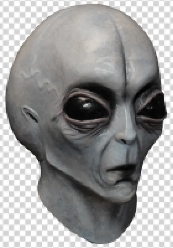 Grey Alien Head PNG Transparent Background