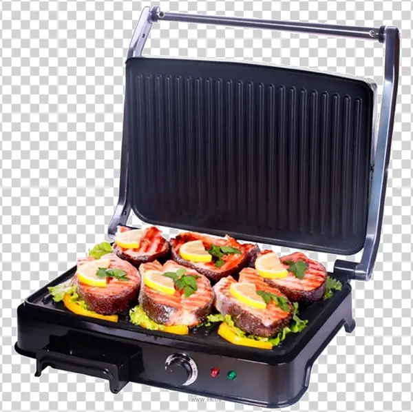 Electric Grill with Salmon Steaks PNG Transparent Background
