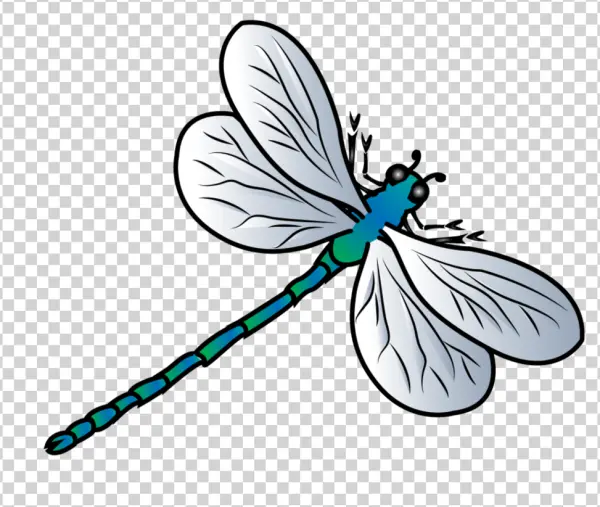 Stylized Blue Green Dragonfly PNG Transparent Background