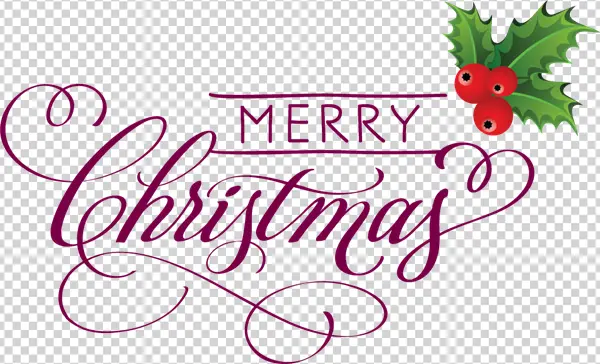 Merry Christmas Calligraphy with Holly PNG Transparent Background