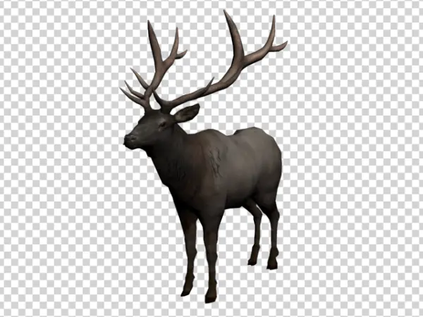 Realistic Elk with Large Antlers PNG Transparent