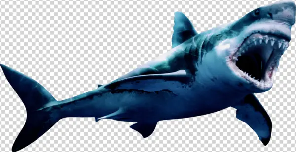 Great White Shark Attacking PNG Transparent Background