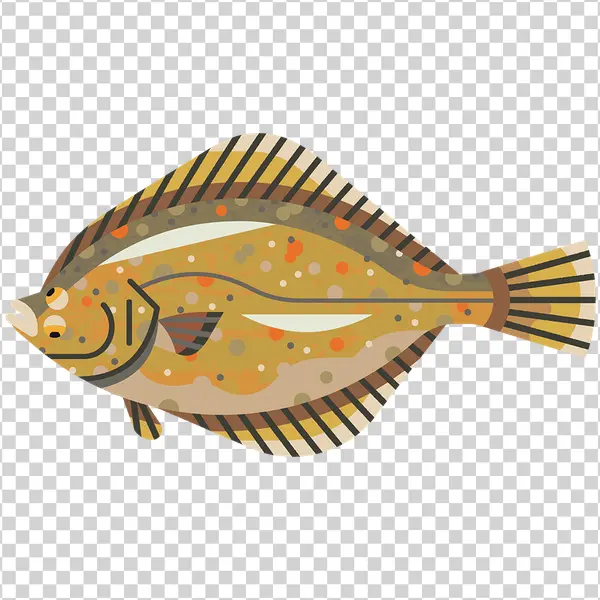 Stylized Flounder Fish PNG Transparent Background
