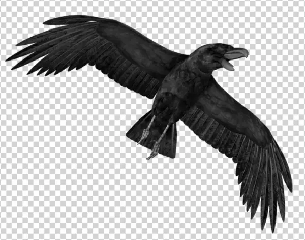 Flying Black Raven PNG Transparent Background