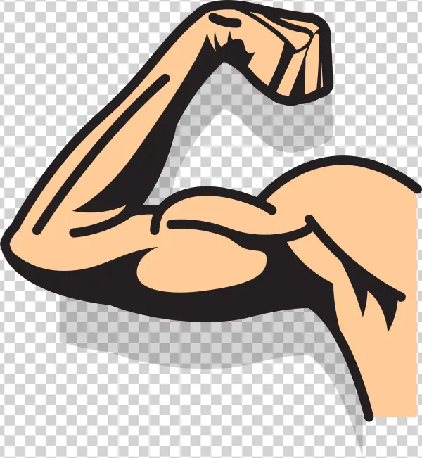 Flexing Bicep Arm PNG Transparent Background