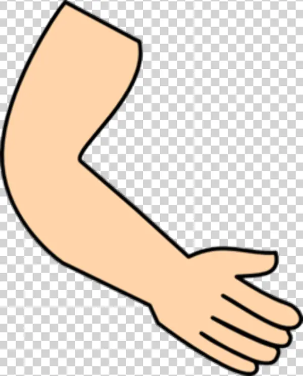 Cartoon Arm and Hand with Open Gesture PNG