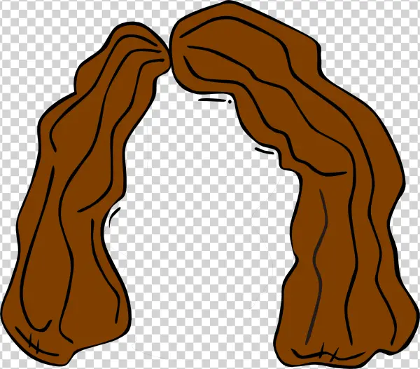 Brown Wavy Hair PNG Transparent Background