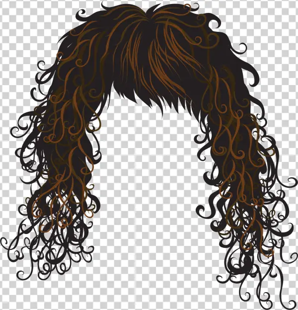 Long Curly Brown Hair PNG Transparent Background