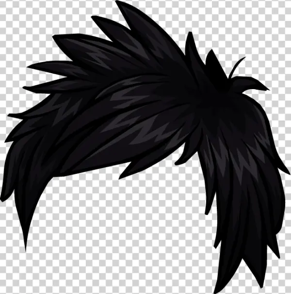 Stylized Black Hair PNG Transparent Background