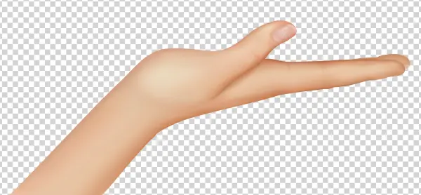 Open Hand Palm Up PNG Transparent Background