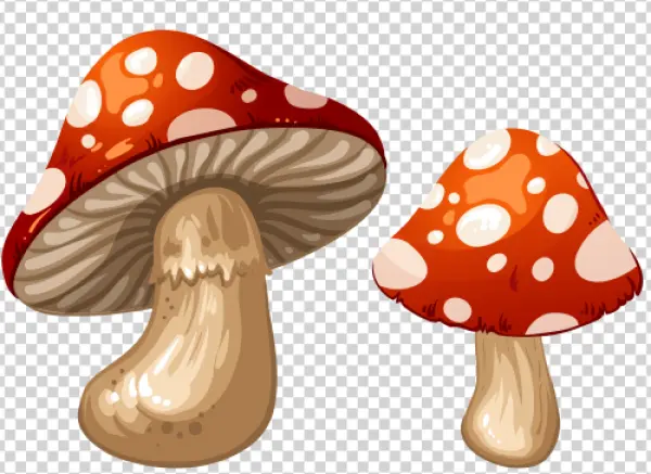 Cartoon Red Mushrooms Transparent Background