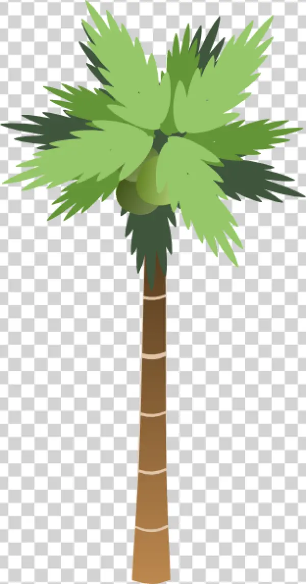 Cartoon Palm Tree PNG Transparent Background
